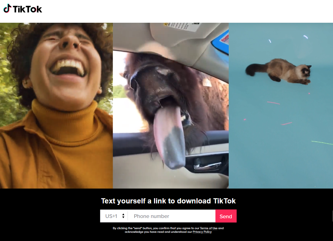 tikt-image-2